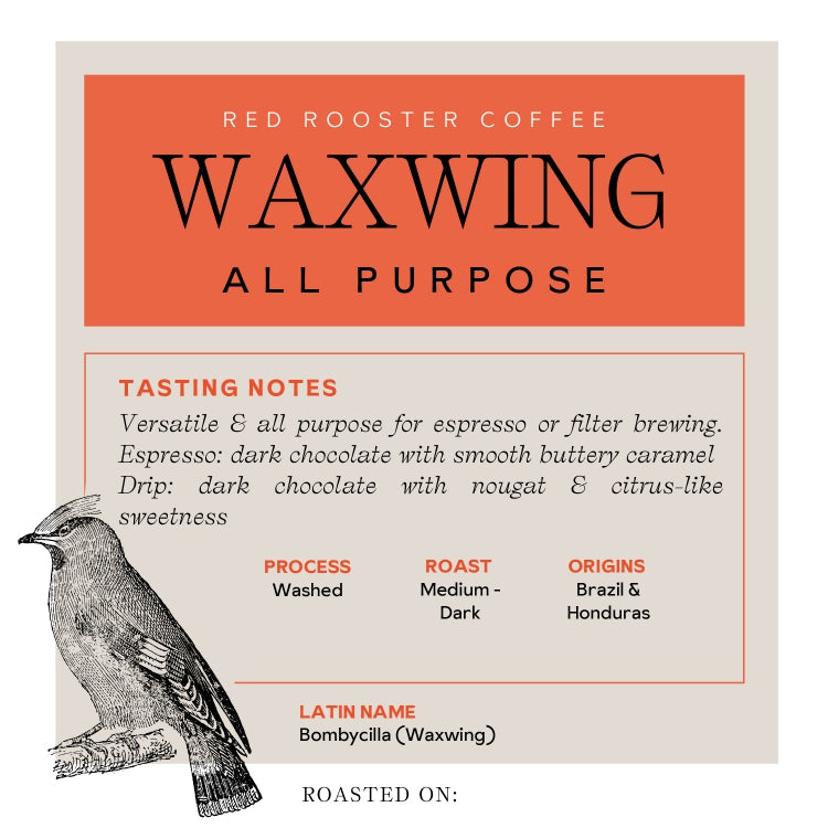 Waxwing All - Purpose Blend - Coffee Selection for Fresh Daily Preparation