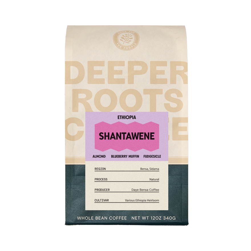 Ethiopia Shantawene 12 oz - Coffee Selection for Fresh Daily Preparation