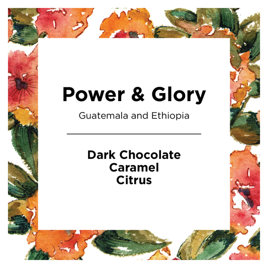 Power and Glory - Coffee Selection for Fresh Daily Preparation