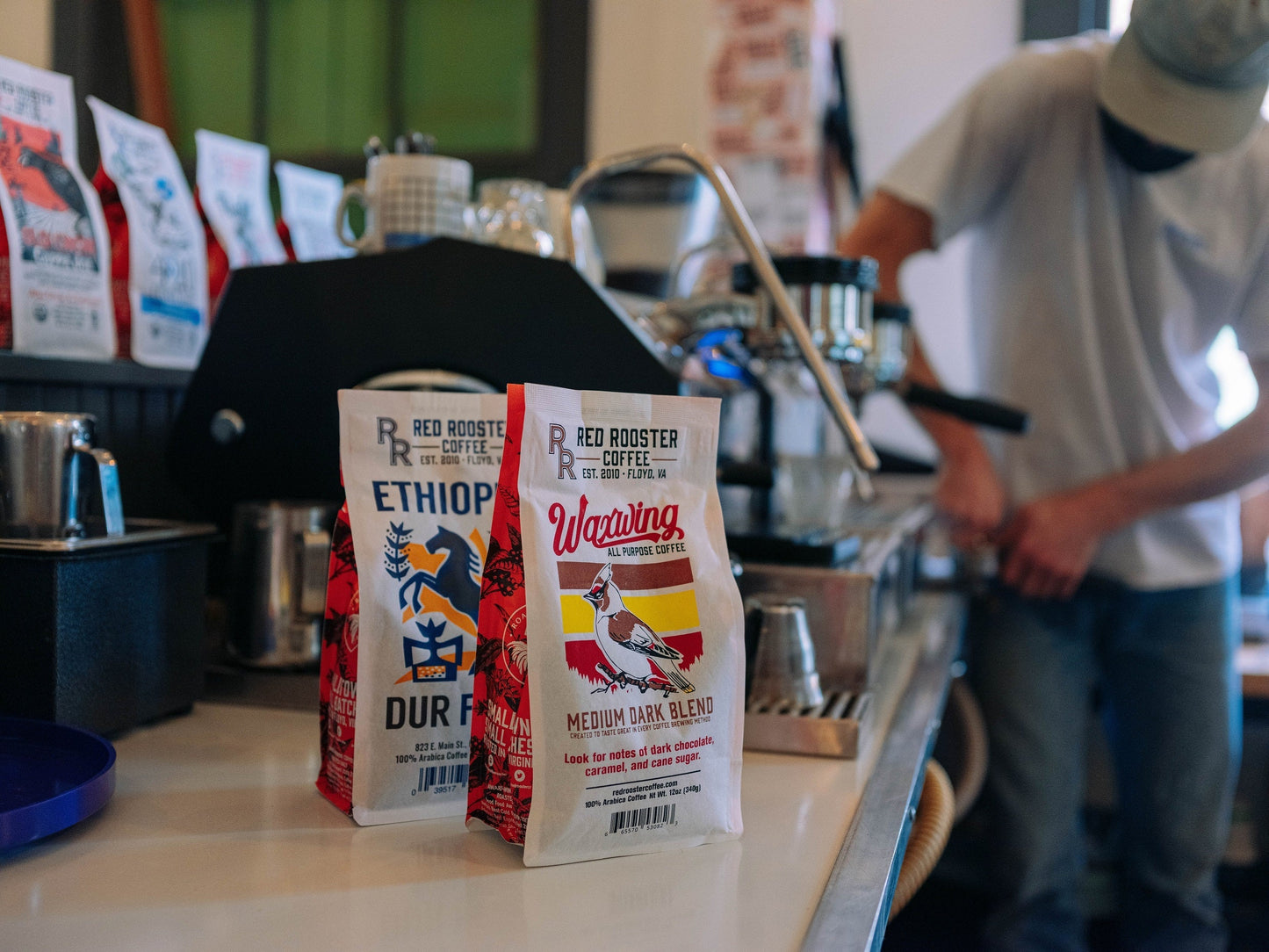 Waxwing All - Purpose Blend - Coffee Selection for Fresh Daily Preparation