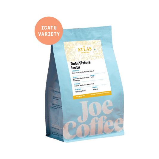 Rubi Sisters Icatu 12 oz - Coffee Selection for Fresh Daily Preparation